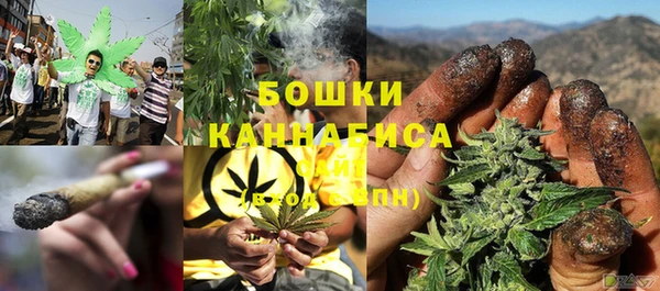 ECSTASY Покачи