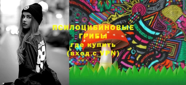 ECSTASY Покачи
